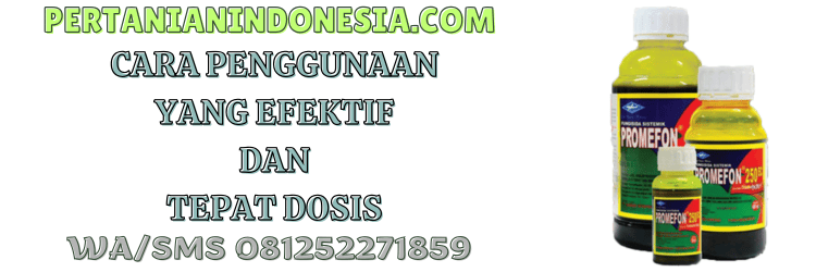 cara,penggunaan,pengaplikasian,fungisida promefon,pertanian indonesia
